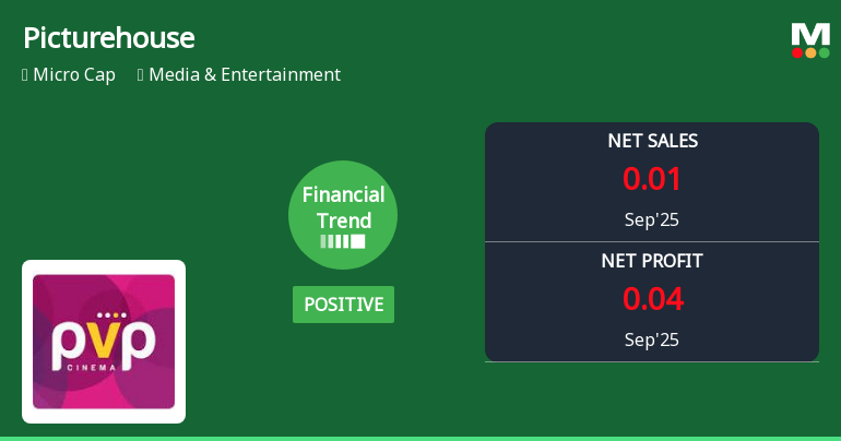 Picturehouse Media Quarterly Financial Trend Shows Positive Shift Amid Mixed Returns
