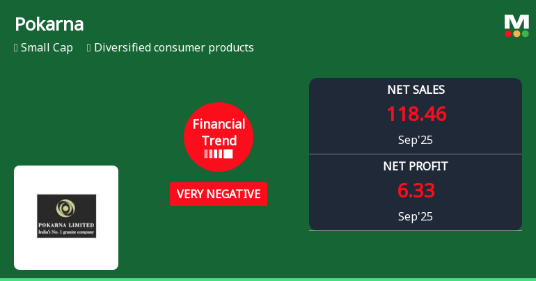 Pokarna Faces Operational Challenges Amidst Historical Growth and Stock Resilience