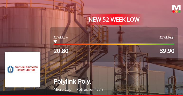 Polylink Polymers Hits 52-Week Low as Stock Plummets to Rs. 20.8