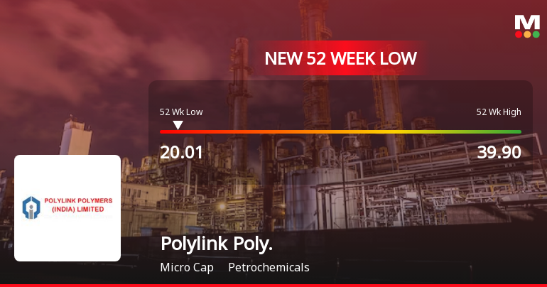 Polylink Polymers (India) Stock Hits 52-Week Low at Rs.20.01