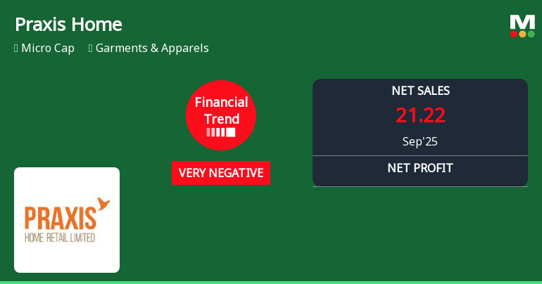 Praxis Home Retail Faces Challenging Quarter Amidst Sector Headwinds