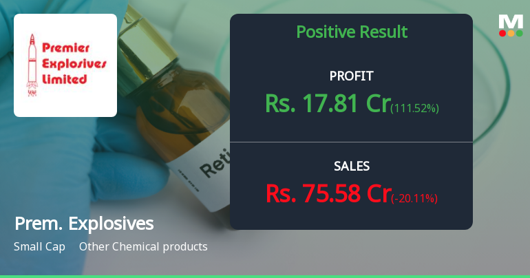 Premier Explosives Q2 FY26: Profit Surge Masks Revenue Decline and Margin Concerns