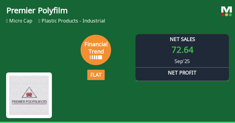 Premier Polyfilm Reports Record Sales Amidst Declining Stock Performance and Capital Efficiency Concerns