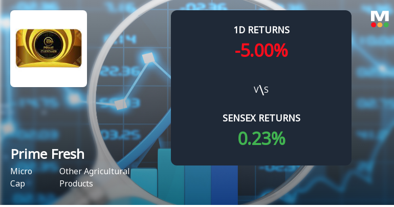 Prime Fresh Ltd Faces Selling Pressure with 4.9% Decline, Marking Third Consecutive Loss
