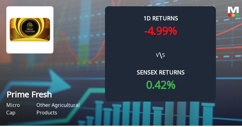 Prime Fresh Faces Intense Selling Pressure Amid Consecutive Losses