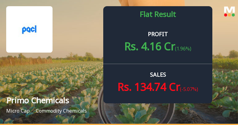 Primo Chemicals Q2 FY26: Profit Recovery Masks Deeper Operational Struggles