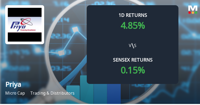 Priya Ltd Faces Intense Selling Pressure Amid Lower Circuit Lock