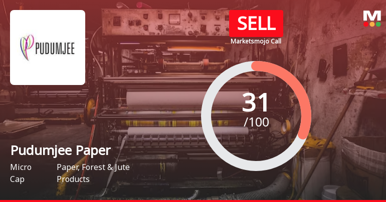 Pudumjee Paper Sees Revision in Market Evaluation Amidst Challenging Financial Trends