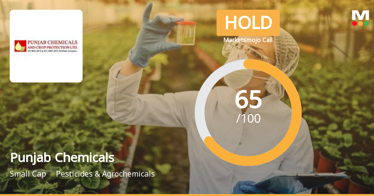 Punjab Chemicals Sees Revised Market Assessment Amid Strong Financial Trends