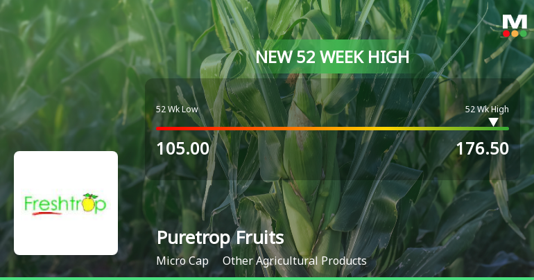 Puretrop Fruits Hits New 52-Week High at Rs. 175.05