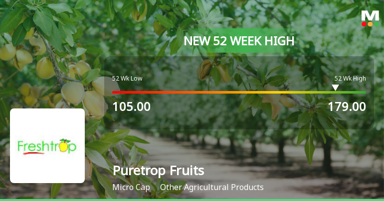Puretrop Fruits Hits New 52-Week High of Rs. 179, Outperforming Sector