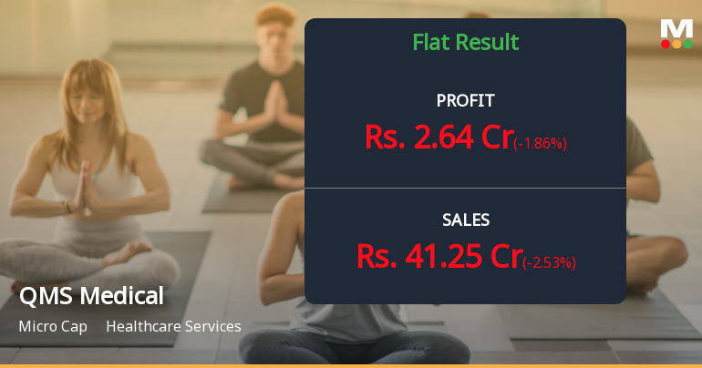 QMS Medical Allied Services Q2 FY26: Profit Decline Amid Revenue Growth Raises Margin Concerns