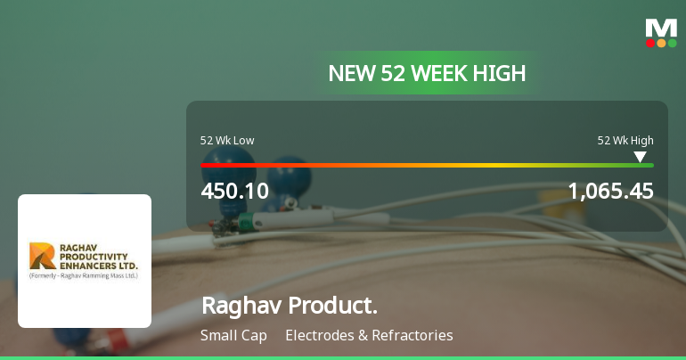 Raghav Productivity Enhancers Hits New 52-Week High at Rs.1065.45
