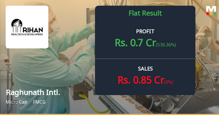 Raghunath International Q2 FY26: Sporadic Revenue Masks Structural Challenges in Micro-Cap FMCG Player