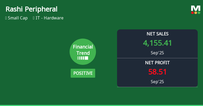 Rashi Peripherals Shows Strong Operational Performance Amid Broader Market Challenges