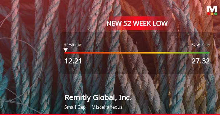 Remitly Global Hits New 52-Week Low at $12.21