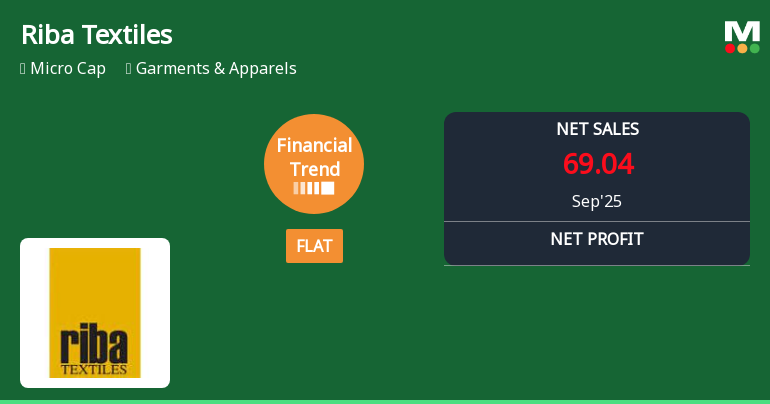 Riba Textiles Shows Operational Efficiency Amid Declining Net Sales and Market Challenges