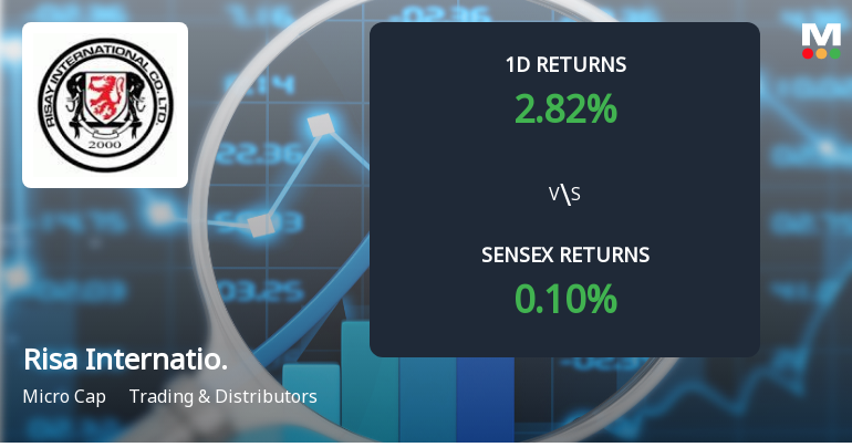 Risa International Faces Intense Selling Pressure Amid Consecutive Losses