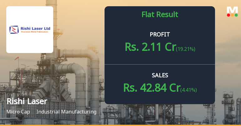 Rishi Laser Q2 FY26: Momentum Stalls as Margins Compress Despite Revenue High