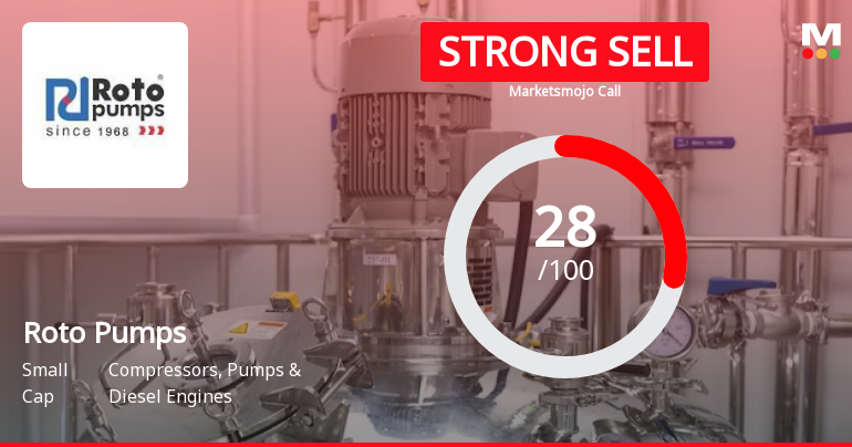 Roto Pumps Sees Revision in Market Evaluation Amidst Challenging Financial Trends