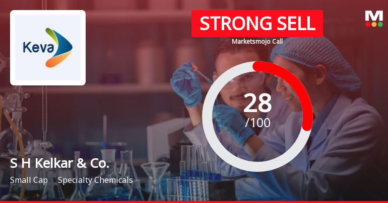 S H Kelkar & Company: Analytical Perspective Shift Amid Challenging Market Conditions