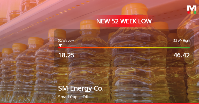 SM Energy Co. Stock Plummets to New 52-Week Low at $18.25