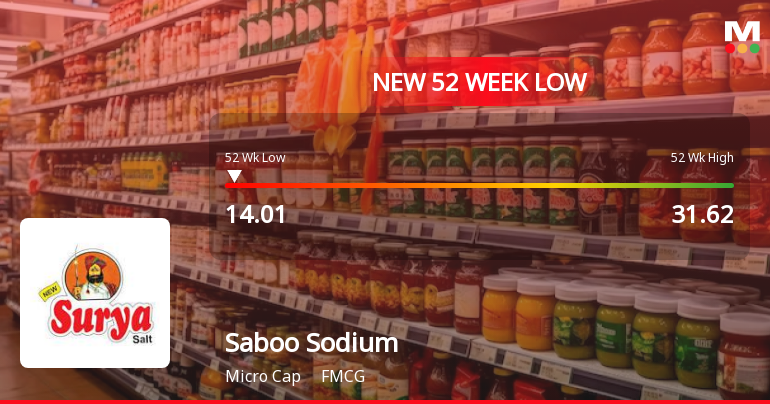 Saboo Sodium Chloro Falls to 52-Week Low of Rs.14.01 Amidst Prolonged Downtrend