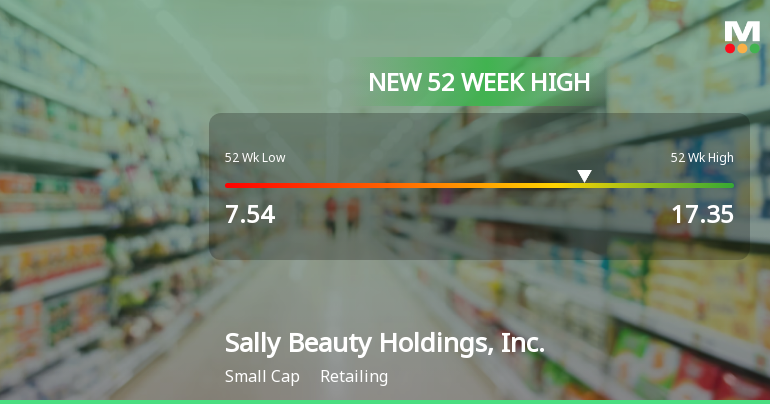 Sally Beauty Holdings Hits New 52-Week High of $17.35