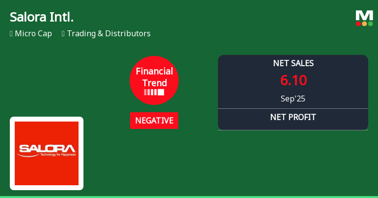 Salora International Faces Financial Challenges Amidst Broader Market Gains