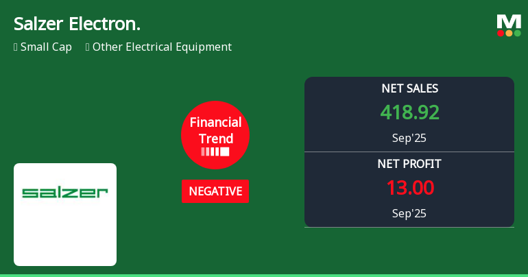 Salzer Electronics Reports Mixed Quarterly Results Amid Shifting Financial Trends