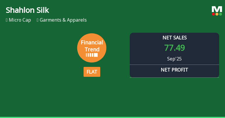 Shahlon Silk Industries Quarterly Financial Trend Shows Flat Performance Amid Mixed Metrics