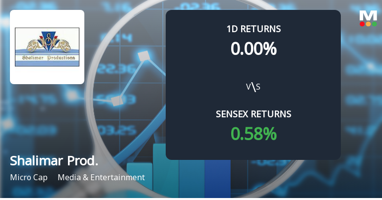 Shalimar Productions Ltd Faces Significant Selling Pressure, Reaches New 52-Week Low of Rs. 0.49