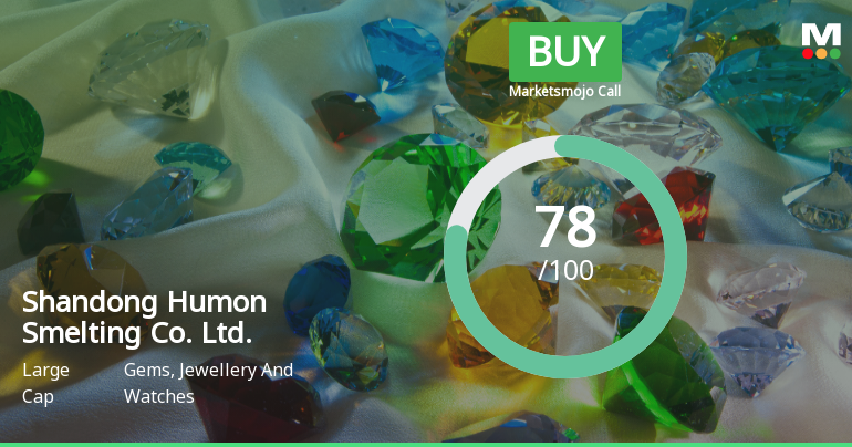 Shandong Humon Smelting Adjusts Evaluation Amid Strong Financial Performance and Growth