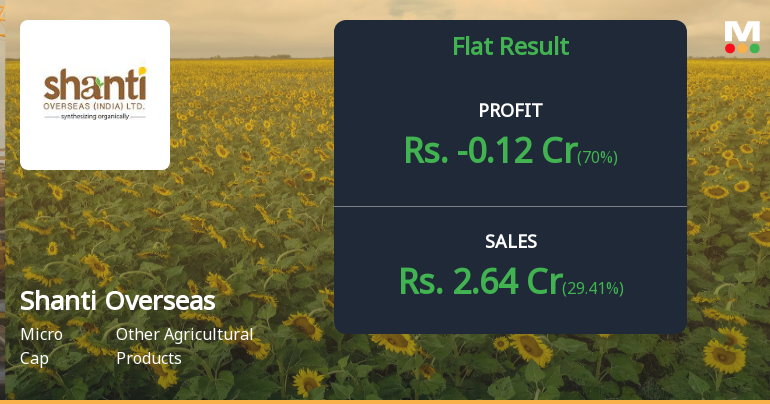 Shanti Overseas Q2 FY26: Losses Deepen as Revenue Volatility Persists