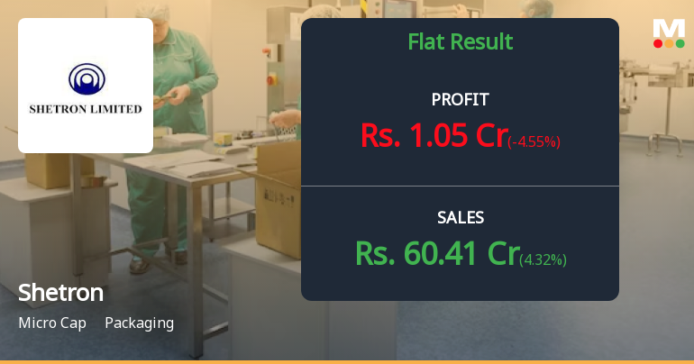 Shetron Ltd Q2 FY26: Profitability Under Pressure as Margins Compress