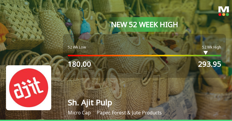 Shree Ajit Pulp and Paper Hits New 52-Week High of Rs. 293.95