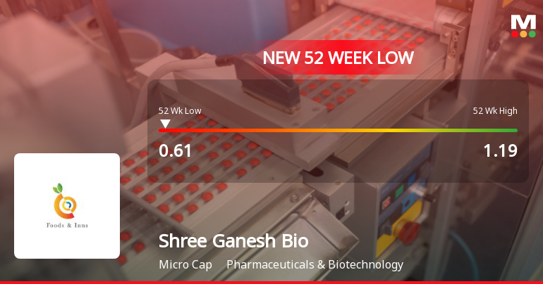 Shree Ganesh Biotech India Stock Hits 52-Week Low at Rs.0.61