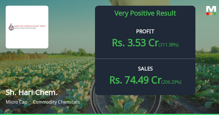 Shree Hari Chemicals Q2 FY26: Stellar Quarter Masks Underlying Volatility Concerns