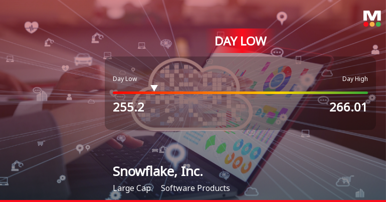 Snowflake, Inc. Hits Day Low of $255.20 Amid Price Pressure