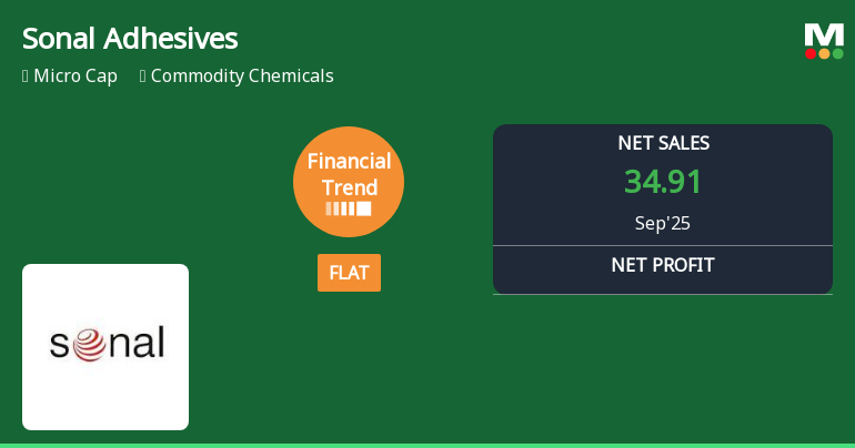 Sonal Adhesives Shows Mixed Financial Performance Amidst Long-Term Volatility Trends