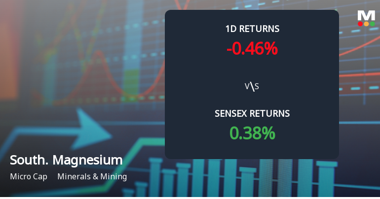Southern Magnesium & Chemicals Ltd Faces 4.99% Decline Amid Significant Selling Pressure Today