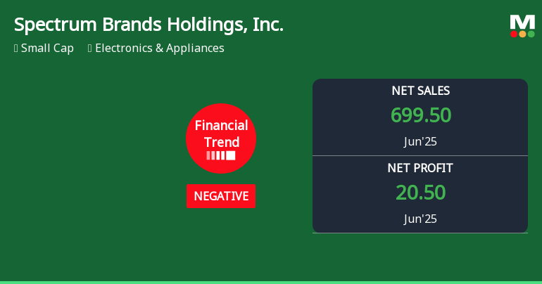 Spectrum Brands Holdings, Inc. Experiences Revision in Stock Evaluation Amid Mixed Financial Performance