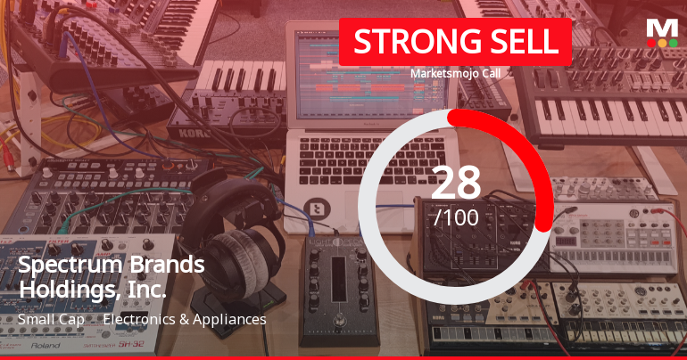 Spectrum Brands Holdings Faces Valuation Shift Amid Declining Profit and High Debt Levels