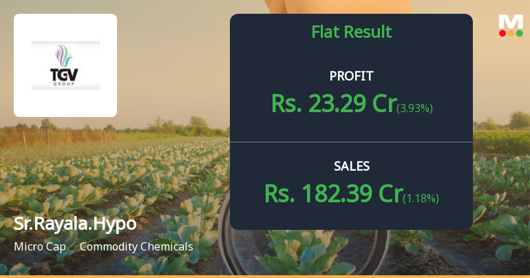 Sree Rayalaseema Hi-Strength Hypo Q2 FY26: Margin Pressure Persists Despite Revenue Growth