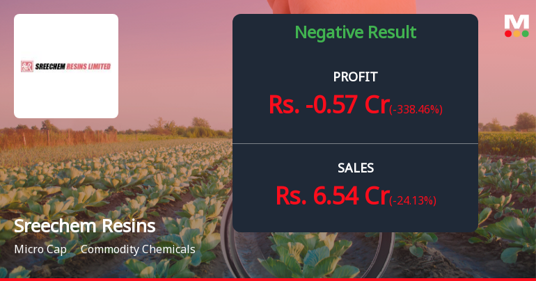 Sreechem Resins Q2 FY26: Operating Losses Deepen as Revenue Plunges 24%