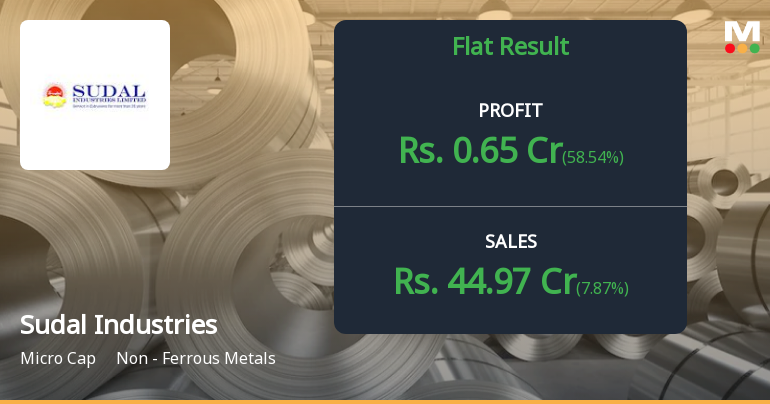 Sudal Industries Q2 FY26: Revenue Surge Masks Margin Compression Concerns