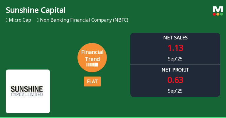 Sunshine Capital Faces Financial Challenges Amidst Declining Performance Metrics