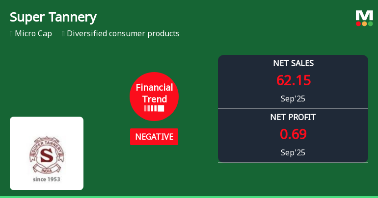 Super Tannery Faces Financial Challenges Amidst Mixed Market Performance Trends