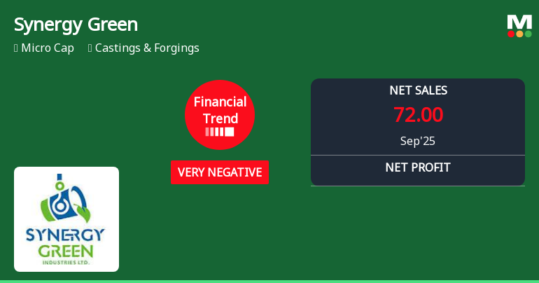 Synergy Green Industries Faces Financial Struggles Amid Strong Stock Performance Trends