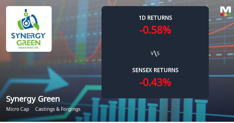 Synergy Green Industries Ltd Achieves 46.93% Annual Gain, Reaches Intraday High Amid Strong Buying Activity